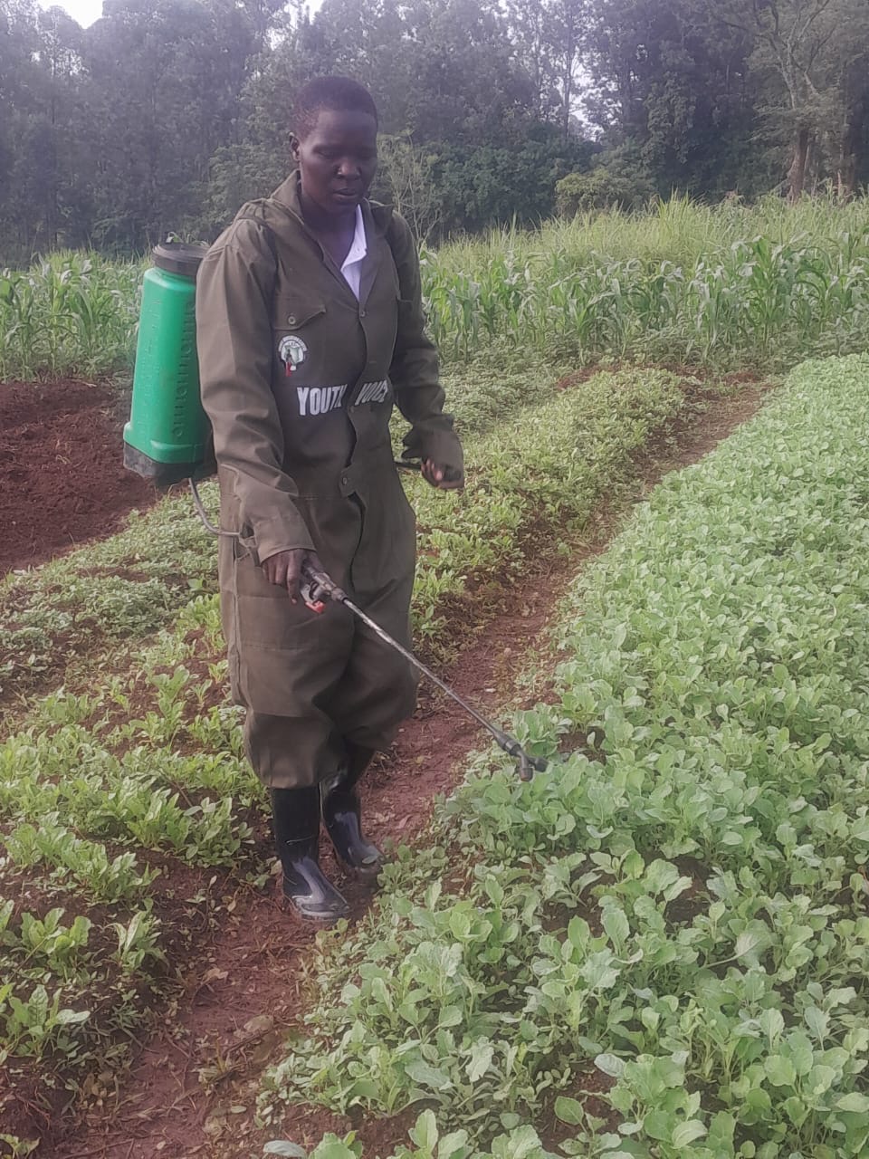 Mazingira Youth Voice Project