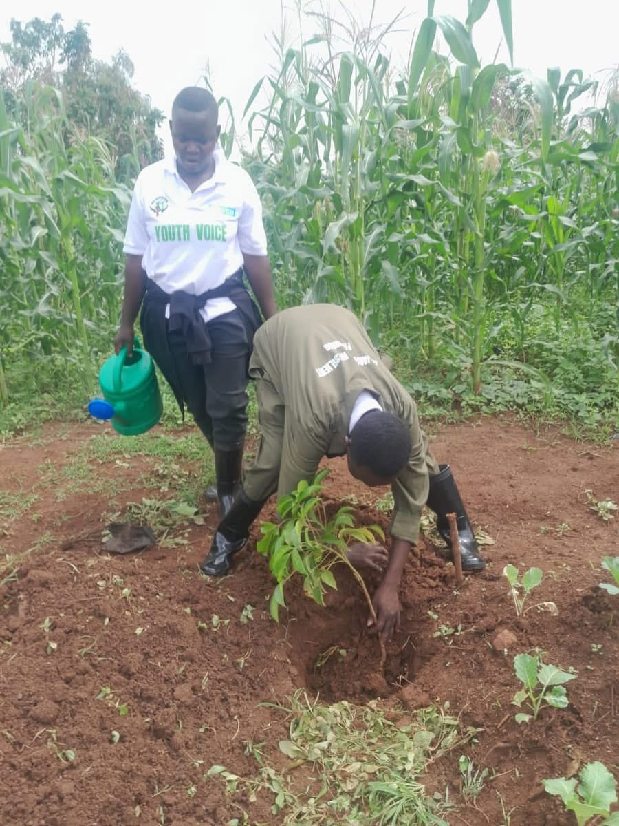 Mazingira Youth Voice Project